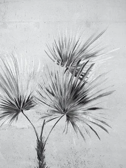 Brewster 391567 Durango Palm Greyscale Wall Mural