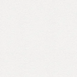 Brewster 4000-1048-16 Kiefer White Bark Paintable Wallpaper