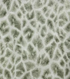 Brewster 2871-88709 Montone Grey Giraffe Wallpaper> Animals & Insects