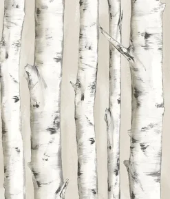 Brewster 3118-12601 Pioneer Off-White Birch Tree Wallpaper> Mens & Lodge