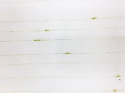 Europatex 160 Sheers 83 Fabric> Sheers