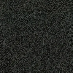Vision Abilene 9009 Black Fabric> Solid, Texture & Faux