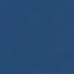 Vision Allsport 3006 Royal Blue Fabric Clearance