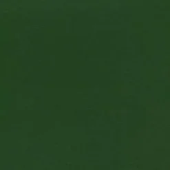 Vision Armada 107 Island Palm Fabric> Solid, Texture & Faux