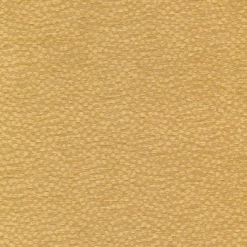 Regal Arno Saffron Fabric Hot