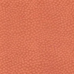 Regal Ashby Apricot Fabric> Trim