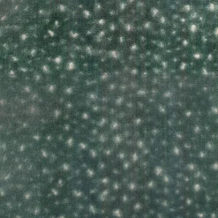 Regal Aubrie Sea Fabric> Trim