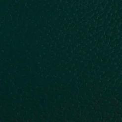 Vision Beluga BEL 3314 Forest Fabric> Solid, Texture & Faux