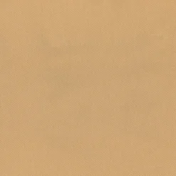 Regal Bronco Beach Fabric New