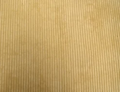 Regal Cab Eggshell Fabric> Stripes & Chevrons