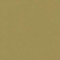 Vision Chamea II 24 Eden Fabric Online