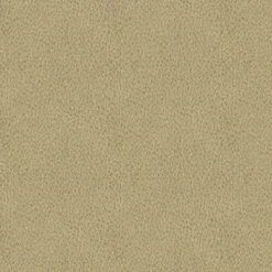 Vision Claro 6003 Beige Fabric Outlet