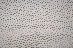 Stock/Hamilton Cosmos Oyster Hamilton Fabric (U19210) New