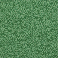 PKaufmann_inc/PK Cubby Jade P Kaufmann Fabric> Animals & Insects