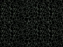 Covington Dare 947 Noir Fabric> Trim