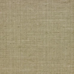 Richloom Delling Ginko Fabric> Solid, Texture & Faux