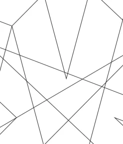 York DI0942 Black Spider-Man Fracture Wallpaper> Kids