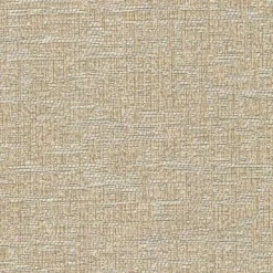 Regal Dynamic Fawn Fabric> Solid, Texture & Faux
