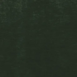 Regal Evan-B Forest Fabric> Trim