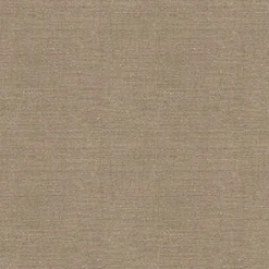 Vision Exuberance 66 Sand Fabric> Solid, Texture & Faux