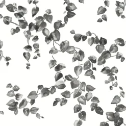 York FH4038 Black/White Creeping Fig Vine Wallpaper> Architectural
