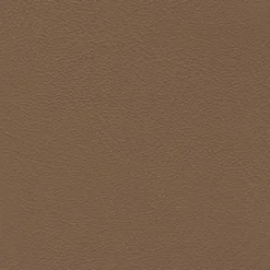 Vision Grand Prix 9472 Buckskin Fabric New