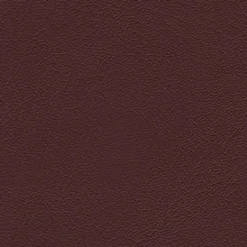 Vision Grand Prix 9460 Cranberry Fabric Best