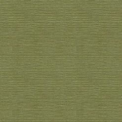 Vision Heavenly 205 Apple Fabric Hot