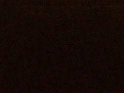 Covington Kanvastex Walnut Fabric New