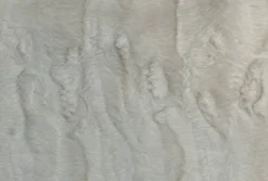 Stock/Hamilton Koontz Eggshell Hamilton Fabric> Solid, Texture & Faux