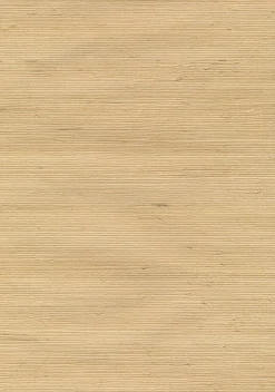 Brewster Kostya Beige Grasscloth Wallpaper Best