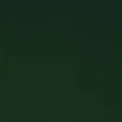 Regal Linden Forest Fabric