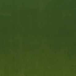 Stock/Regal Linden Lime Regal Fabric Clearance