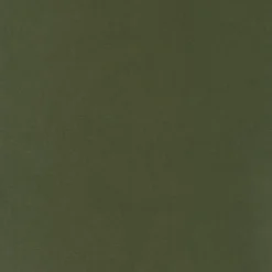 Regal Map Dill Fabric> Trim