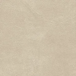 Vision Midship 649 Almond Fabric> Solid, Texture & Faux