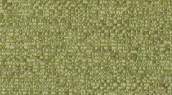 Crypton Naima Sprig Fabric> Trim
