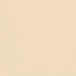 Vision Navigator NAV 9894 Parchment Fabric