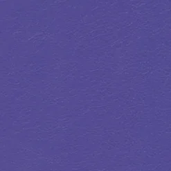 Vision Navigator NAV 9907 Purple Passion Fabric