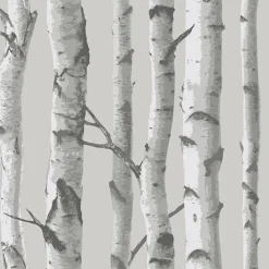 Brewster NU1694 Mountain Birch Grey Peel and Stick Wallpaper Clearance
