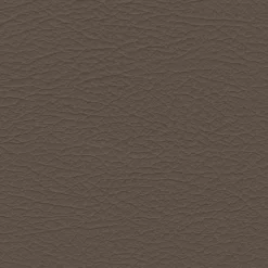 Vision Nuance 2463 Med. Neutral Fabric Discount