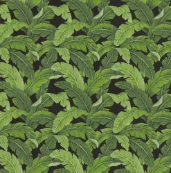 Tempo OD Belize Black Fabric> Outdoor