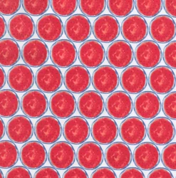 Tempo OD One In A Melon Summer Fabric Online