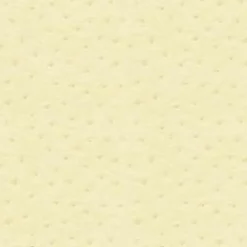 Vision Ostrich 66 Moonbeam Fabric> Solid, Texture & Faux