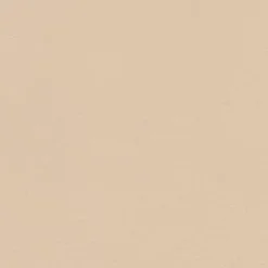 Vision Pegasus 1616 Sand Dollar Fabric Discount