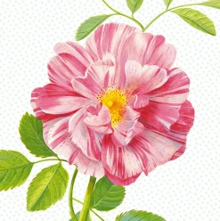 Brewster Peony Wall Mural> Kids