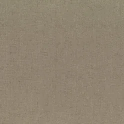 Regal Pisab Dellwood Sandy Fabric> Solid, Texture & Faux