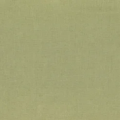 Regal Pisab October Mist Fabric