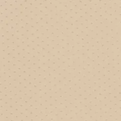 Vision Polaris Marine POL 1622 Sand Dollar Fabric> Solid, Texture & Faux