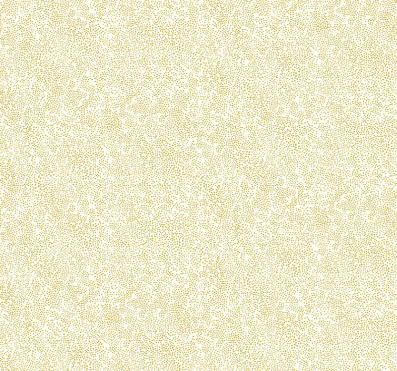 York RI5112 Gold/White Champagne Dots Wallpaper> Florals