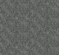 York RI5111 White/Black Champagne Dots Wallpaper> Florals